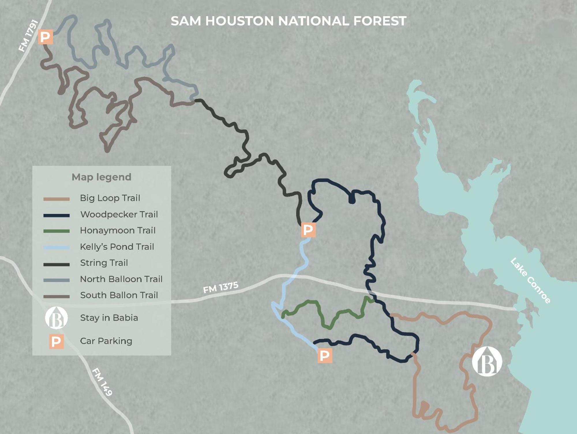 Stay In Babia - Luxury Cabins - Sam Houston National Forest 蒙哥马利 外观 照片